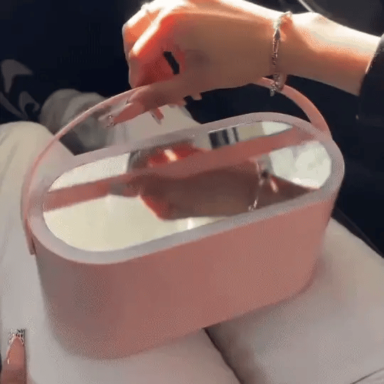 Portable LED Light Storage Box Beauty And Makeup Mirror